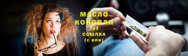 индика Верхний Тагил