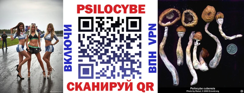 KRAKEN зеркало  Воркута  Псилоцибиновые грибы мицелий 